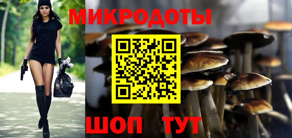 Псилоцибиновые грибы Psilocybe Зеленодольск